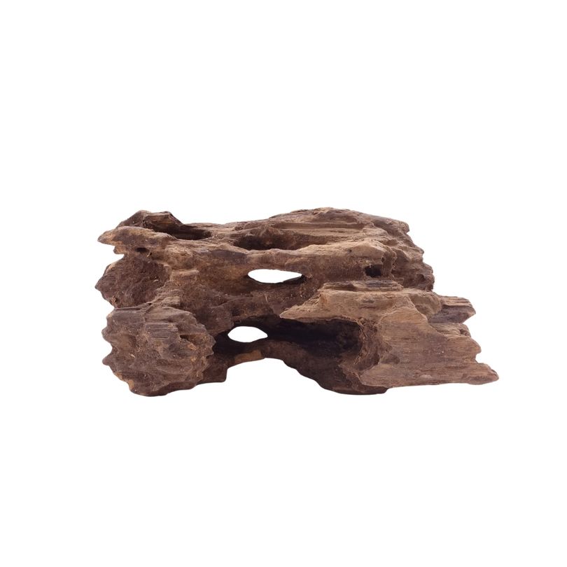M Honey Comb Wurzel Nr.5190 Holz Deko Aquascaping