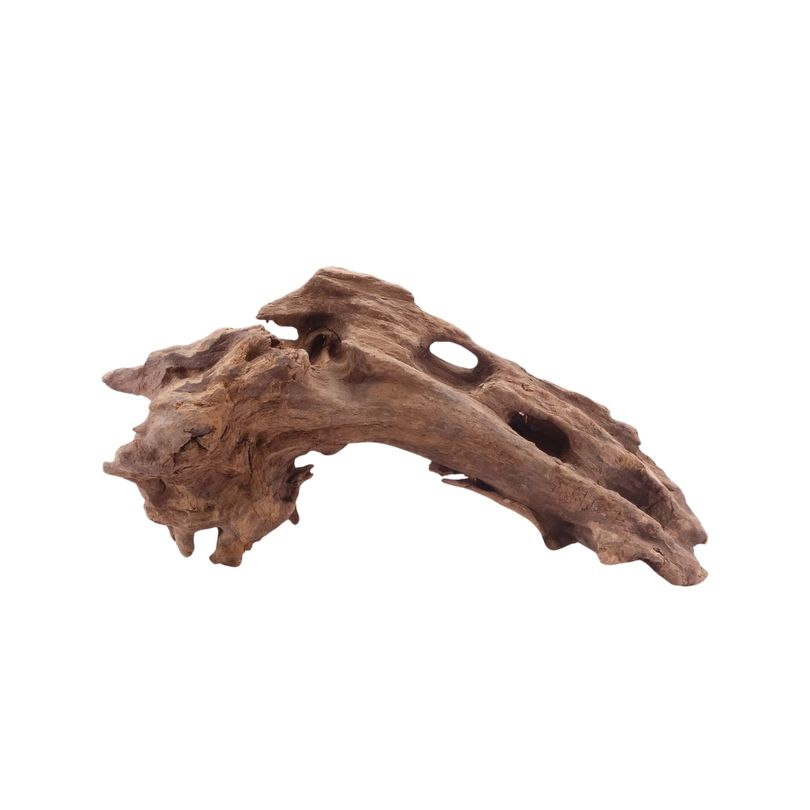 M Honey Comb Wurzel Nr.5191 Holz Deko Aquascaping