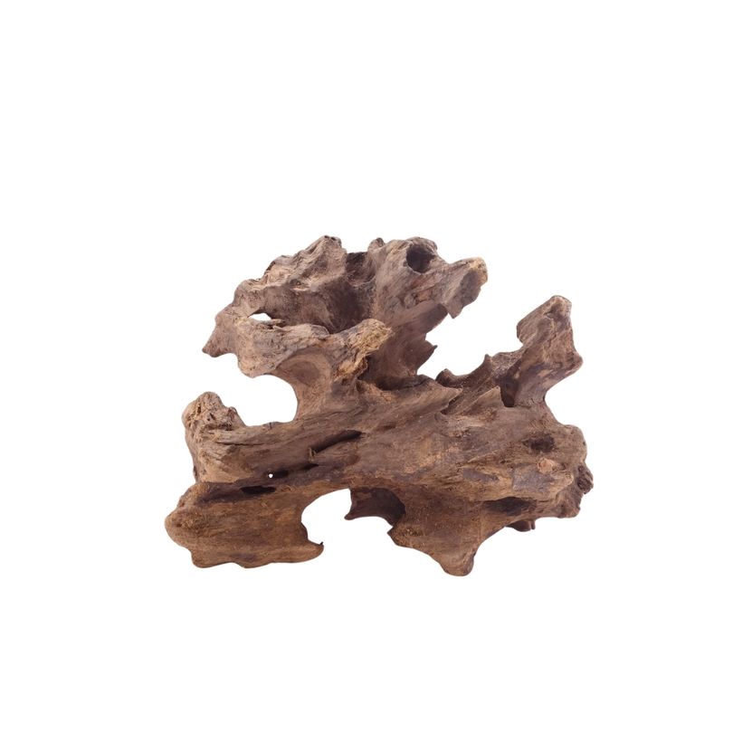 M Honey Comb Wurzel Nr.5192 Holz Deko Aquascaping