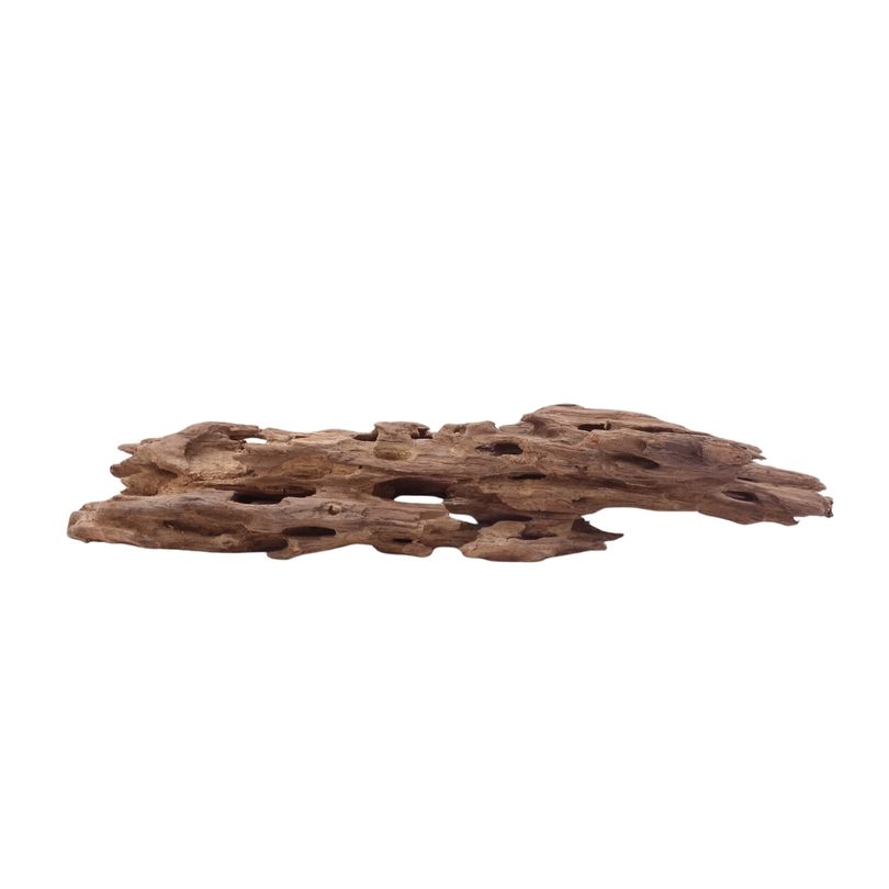 M Honey Comb Wurzel Nr.5194 Holz Deko Aquascaping