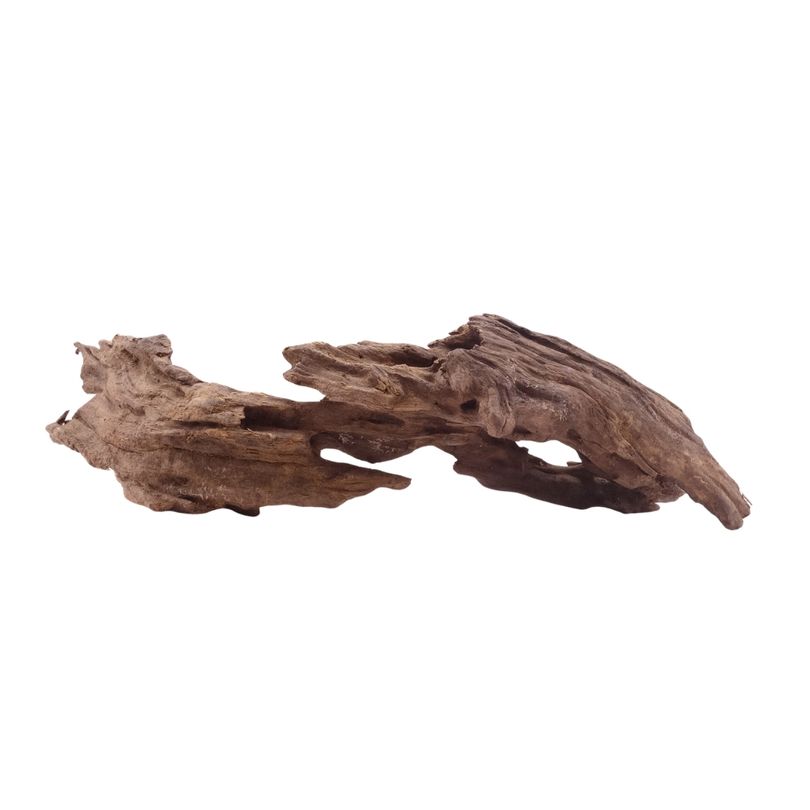 M Honey Comb Wurzel Nr.5195 Holz Deko Aquascaping