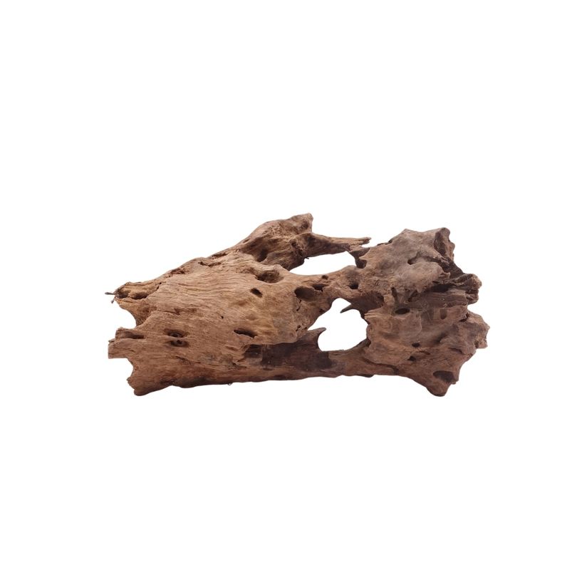 M Honey Comb Wurzel Nr.5197 Holz Deko Aquascaping