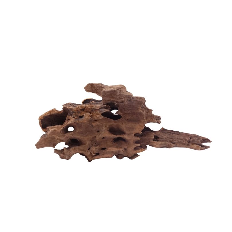 M Honey Comb Wurzel Nr.5199 Holz Deko Aquascaping