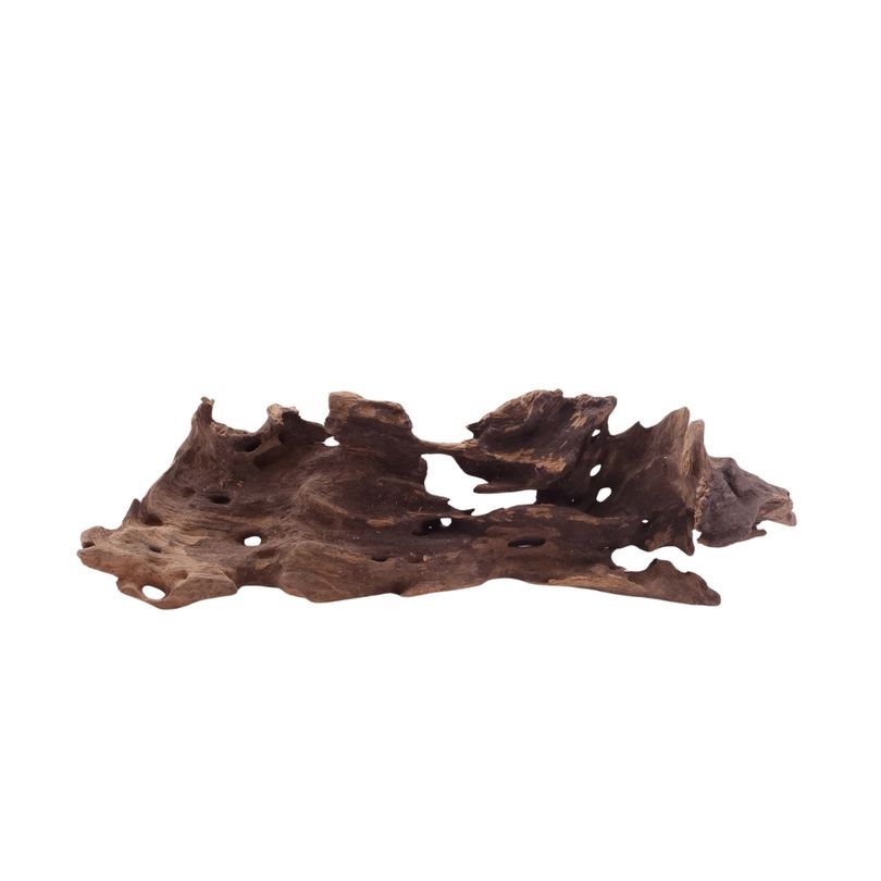 M Honey Comb Wurzel Nr.5202 Holz Deko Aquascaping