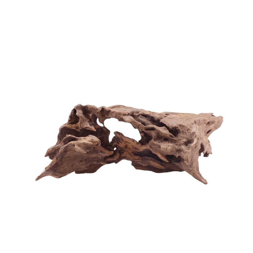 M Honey Comb Wurzel Nr.5204 Holz Deko Aquascaping