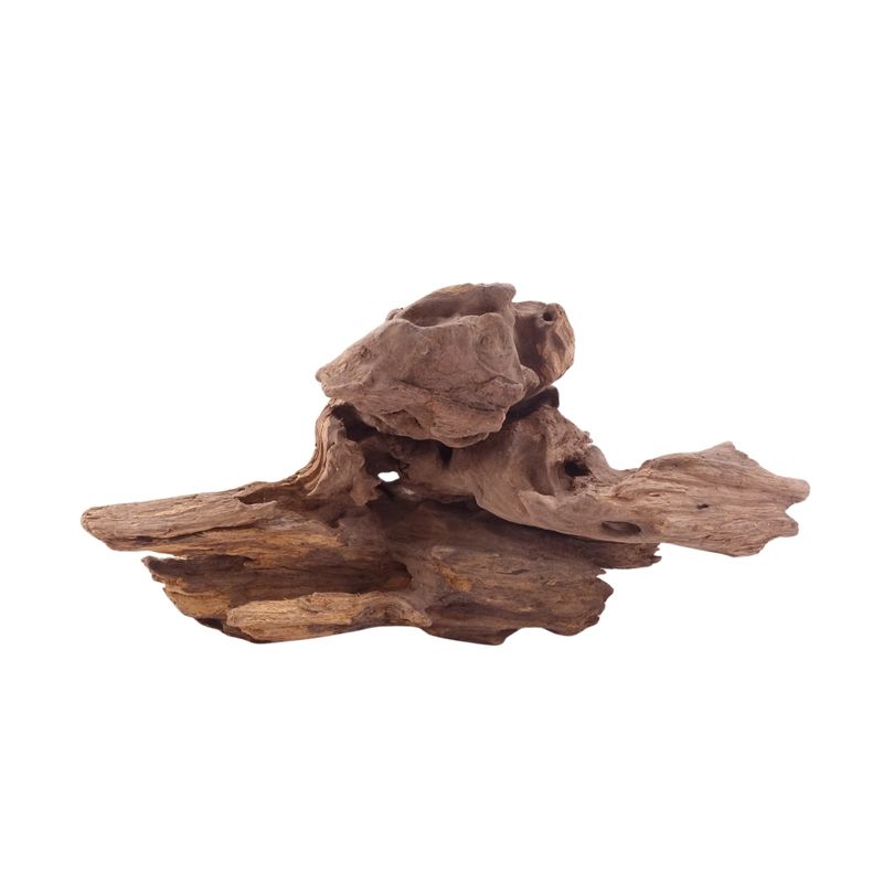 M Honey Comb Wurzel Nr.5205 Holz Deko Aquascaping