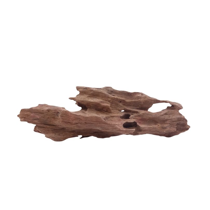M Honey Comb Wurzel Nr.5207 Holz Deko Aquascaping
