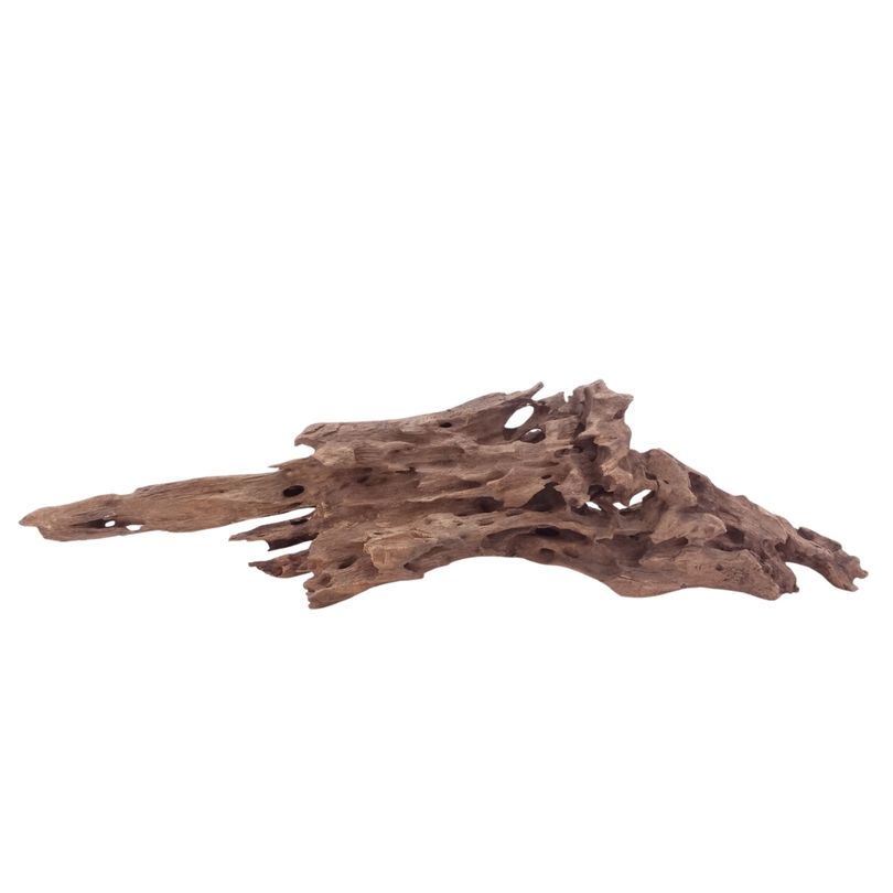L Honey Comb Wurzel Nr.5116 Holz Deko Aquascaping
