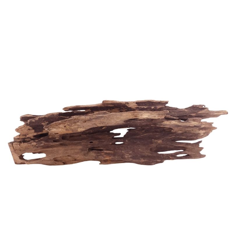 L Honey Comb Wurzel Nr.5123 Holz Deko Aquascaping