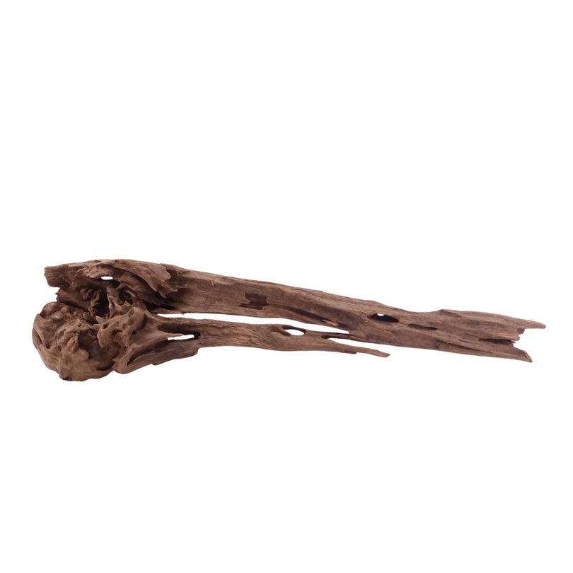 L Honey Comb Wurzel Nr.5125 Holz Deko Aquascaping