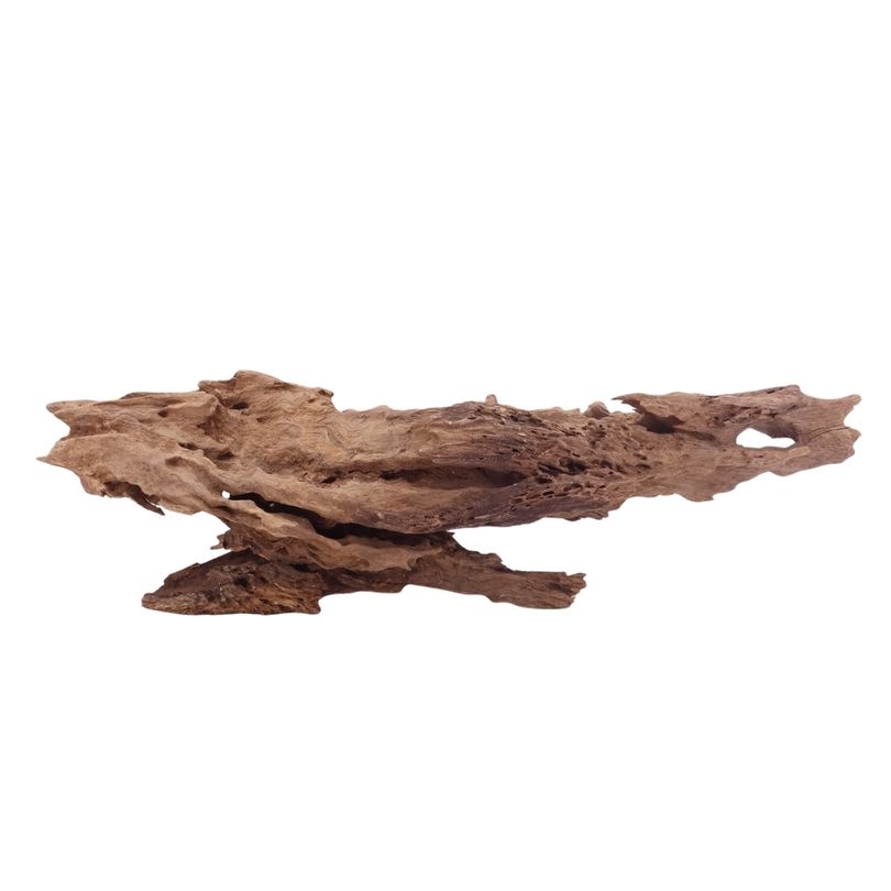 L Honey Comb Wurzel Nr.5129 Holz Deko Aquascaping