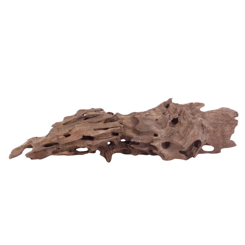 L Honey Comb Wurzel Nr.5132 Holz Deko Aquascaping