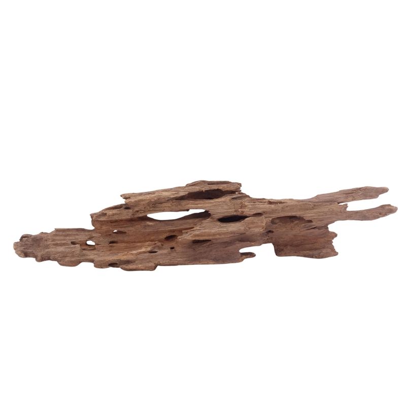 L Honey Comb Wurzel Nr.5137 Holz Deko Aquascaping
