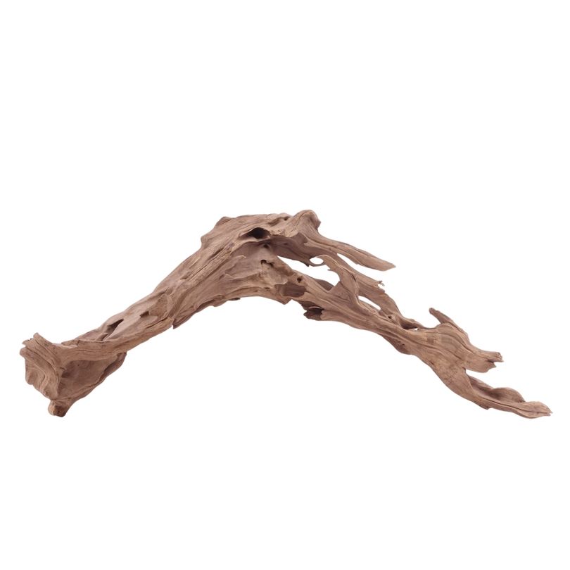L Honey Comb Wurzel Nr.5139 Holz Deko Aquascaping