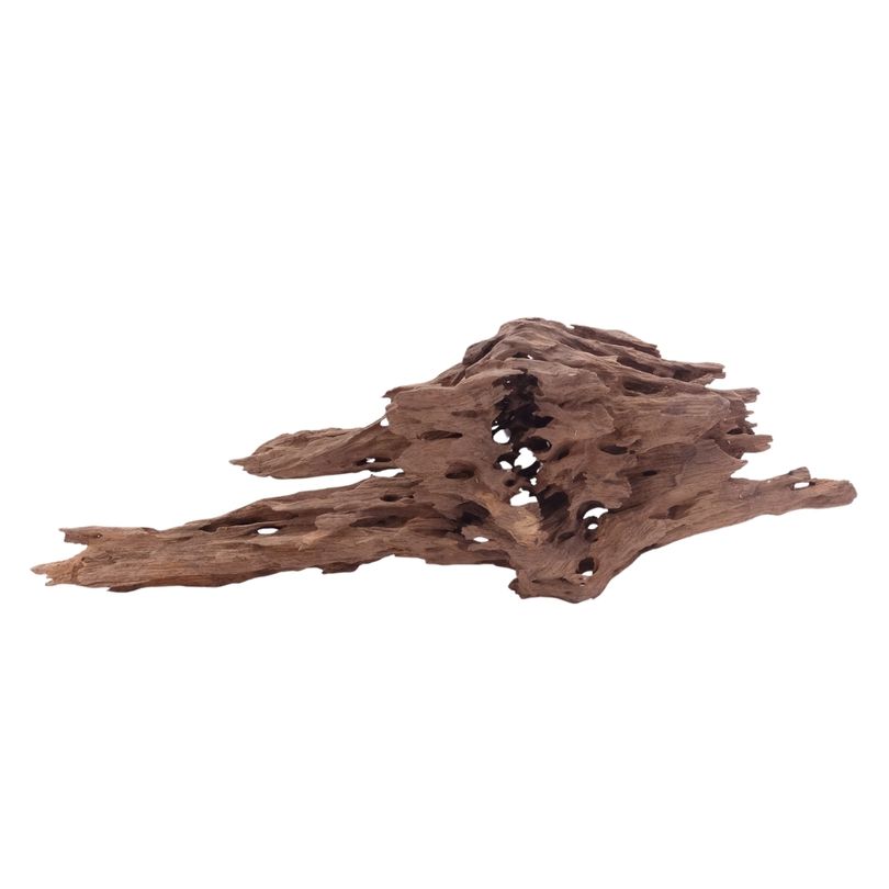 L Honey Comb Wurzel Nr.5140 Holz Deko Aquascaping