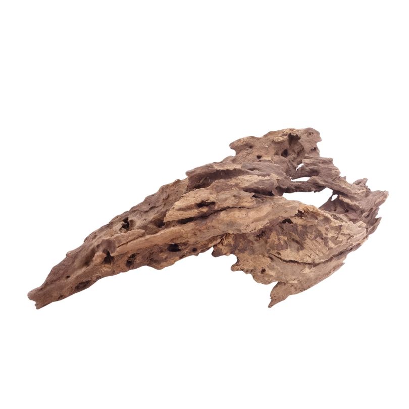 L Honey Comb Wurzel Nr.5141 Holz Deko Aquascaping
