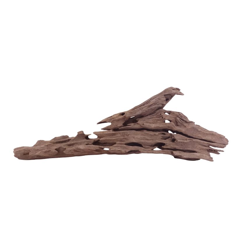XL Honey Comb Wurzel Nr.5146 Holz Deko Aquascaping
