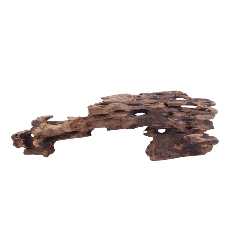 XL Honey Comb Wurzel Nr.5147 Holz Deko Aquascaping