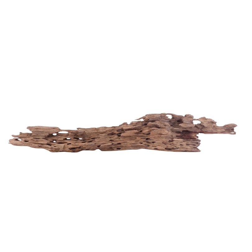 XL Honey Comb Wurzel Nr.5148 Holz Deko Aquascaping