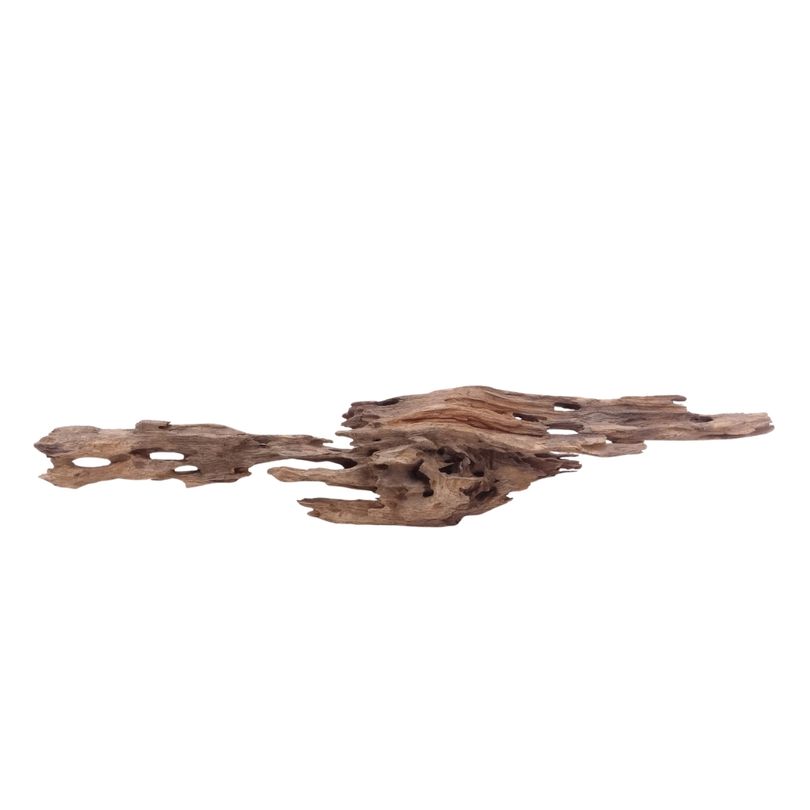 XL Honey Comb Wurzel Nr.5149 Holz Deko Aquascaping