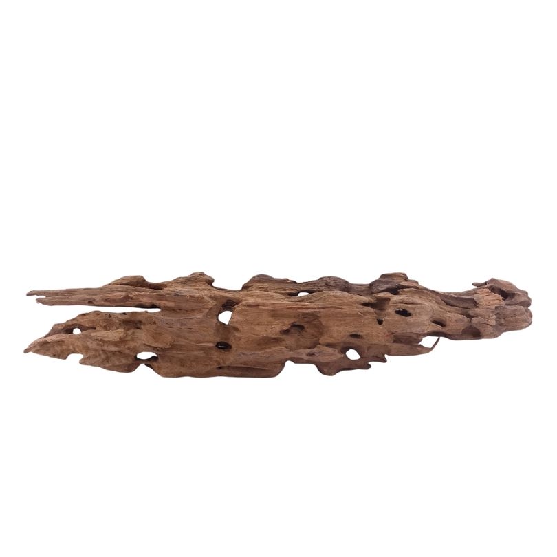 XL Honey Comb Wurzel Nr.5150 Holz Deko Aquascaping