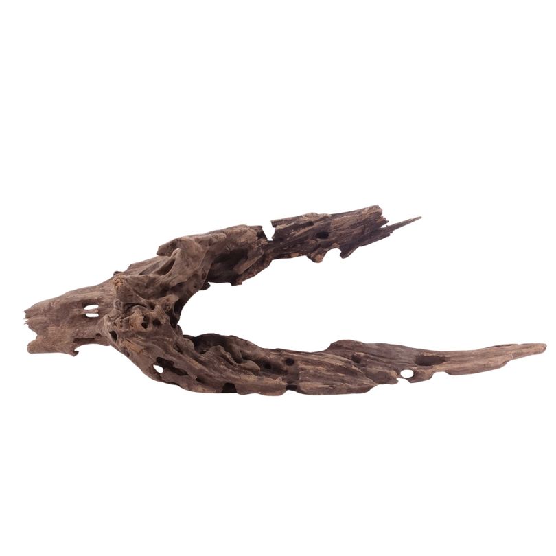 XL Honey Comb Wurzel Nr.5151 Holz Deko Aquascaping