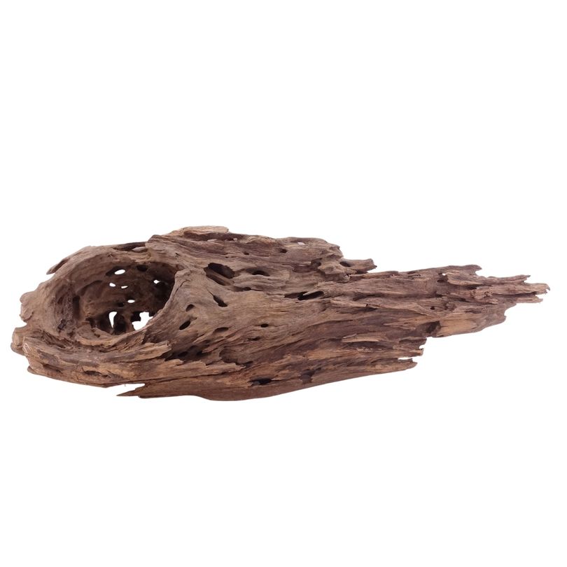 XL Honey Comb Wurzel Nr.5152 Holz Deko Aquascaping