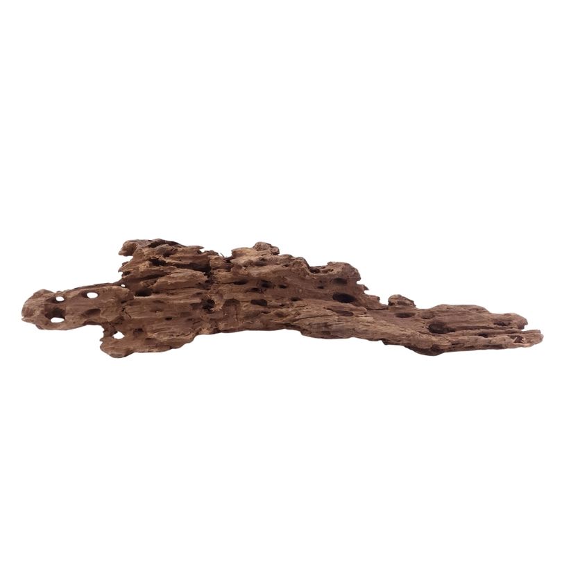XL Honey Comb Wurzel Nr.5153 Holz Deko Aquascaping