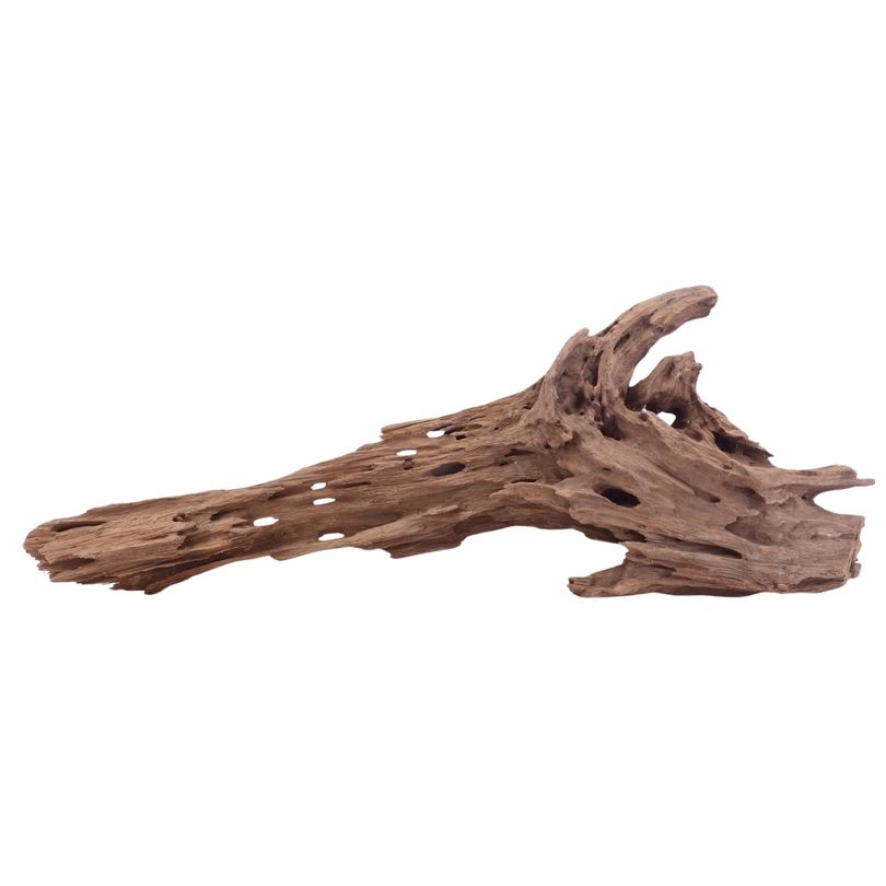 XL Honey Comb Wurzel Nr.5155 Holz Deko Aquascaping