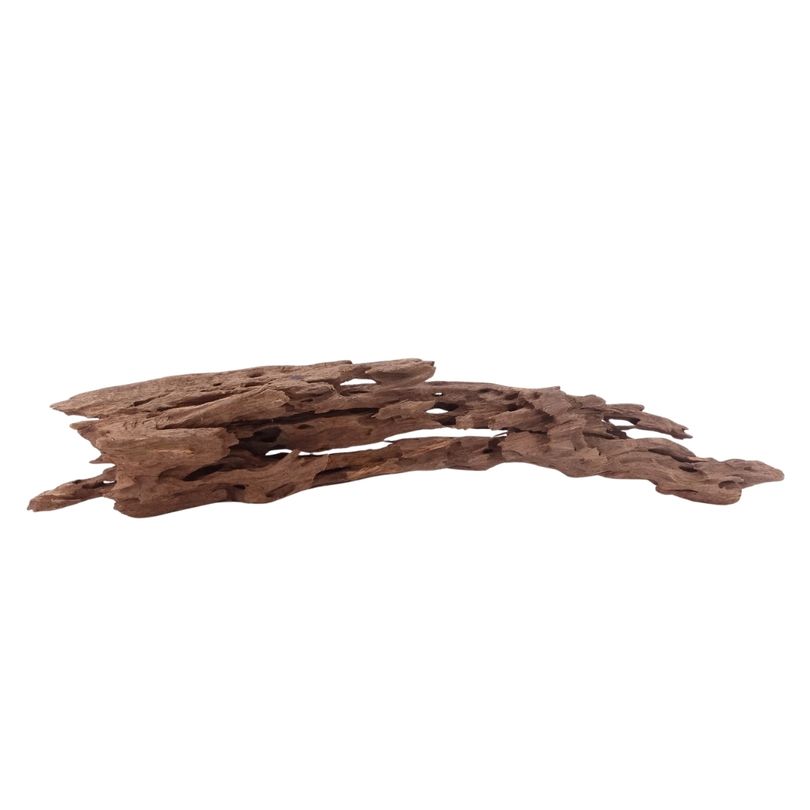 XL Honey Comb Wurzel Nr.5157 Holz Deko Aquascaping