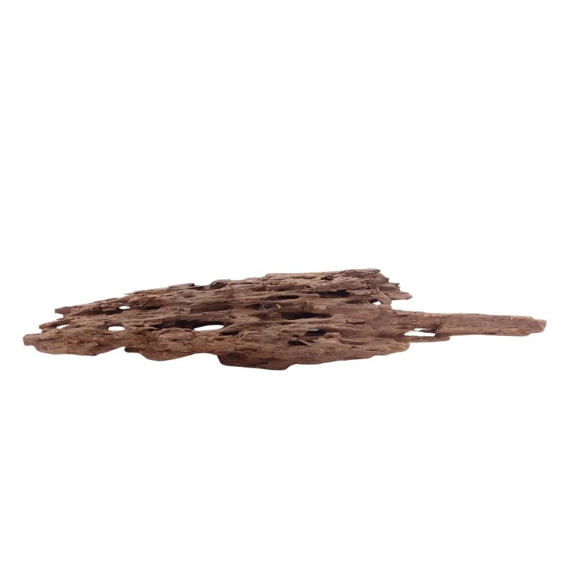 XL Honey Comb Wurzel Nr.5158 Holz Deko Aquascaping
