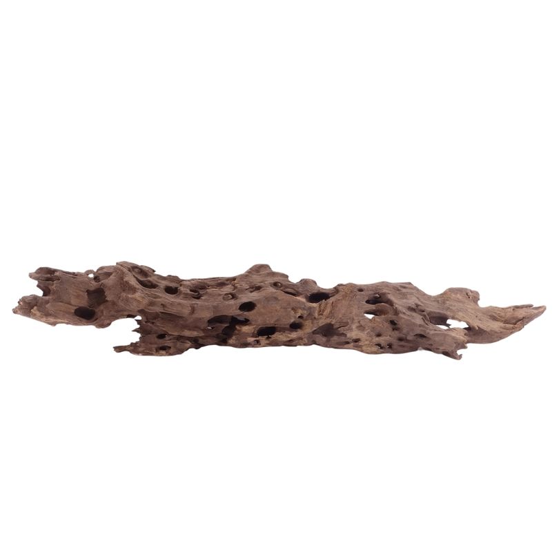 XL Honey Comb Wurzel Nr.5159 Holz Deko Aquascaping