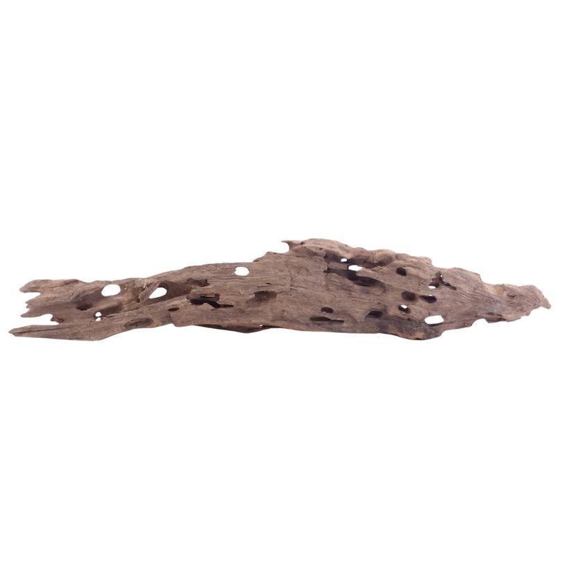 XL Honey Comb Wurzel Nr.5160 Holz Deko Aquascaping