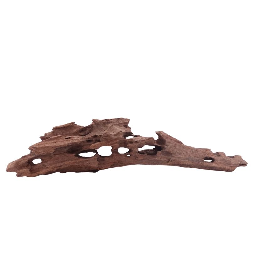 XL Honey Comb Wurzel Nr.5161 Holz Deko Aquascaping