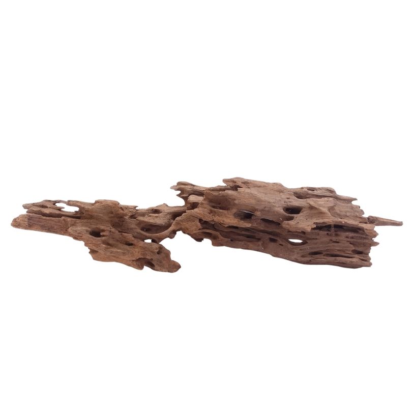 XL Honey Comb Wurzel Nr.5162 Holz Deko Aquascaping