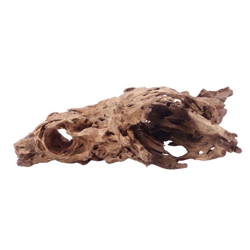 XL Honey Comb Wurzel Nr.5163 Holz Deko Aquascaping