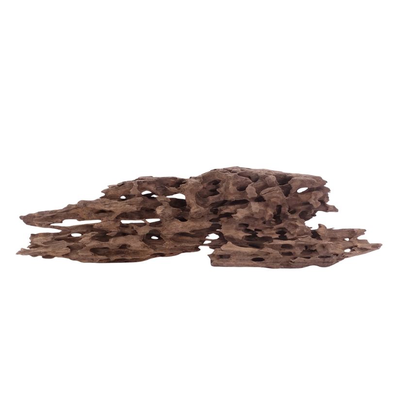 XL Honey Comb Wurzel Nr.5164 Holz Deko Aquascaping