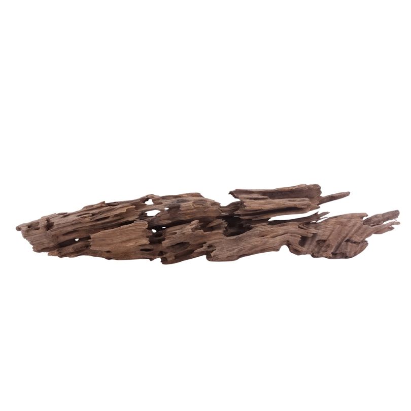 XL Honey Comb Wurzel Nr.5165 Holz Deko Aquascaping