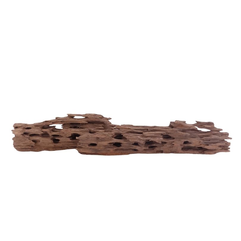 XL Honey Comb Wurzel Nr.5166 Holz Deko Aquascaping