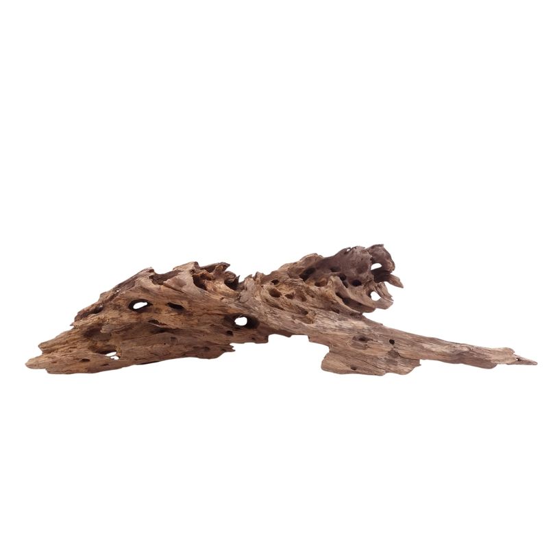 XL Honey Comb Wurzel Nr.5167 Holz Deko Aquascaping