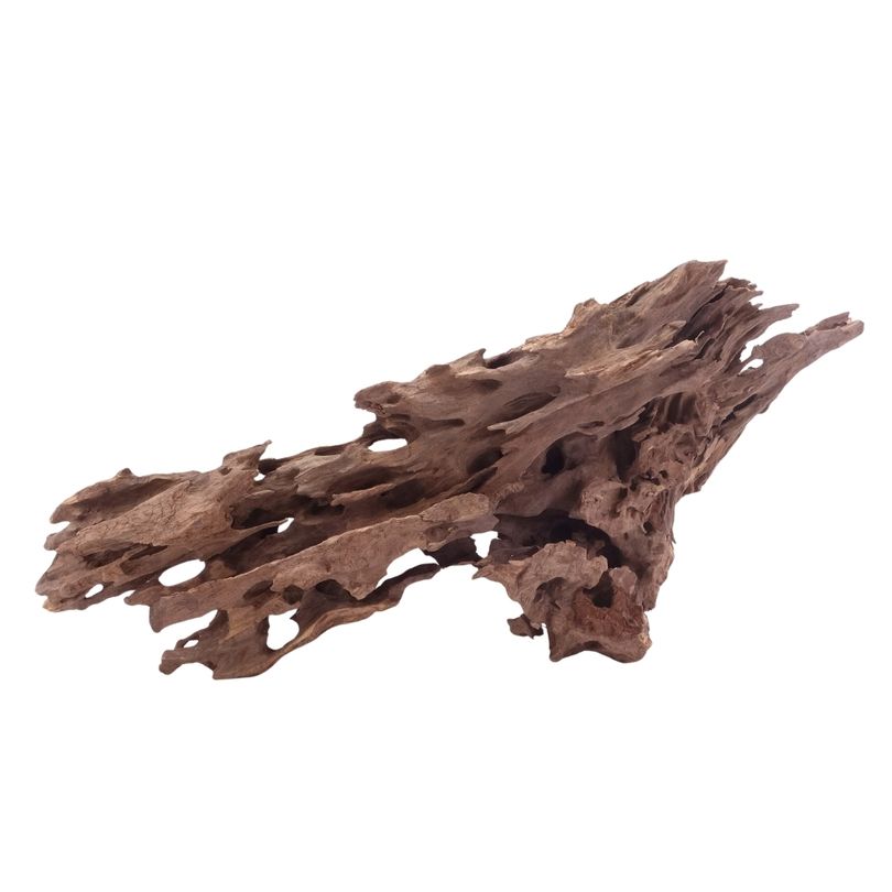 XL Honey Comb Wurzel Nr.5169 Holz Deko Aquascaping