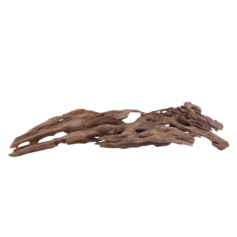 XL Honey Comb Wurzel Nr.5170 Holz Deko Aquascaping