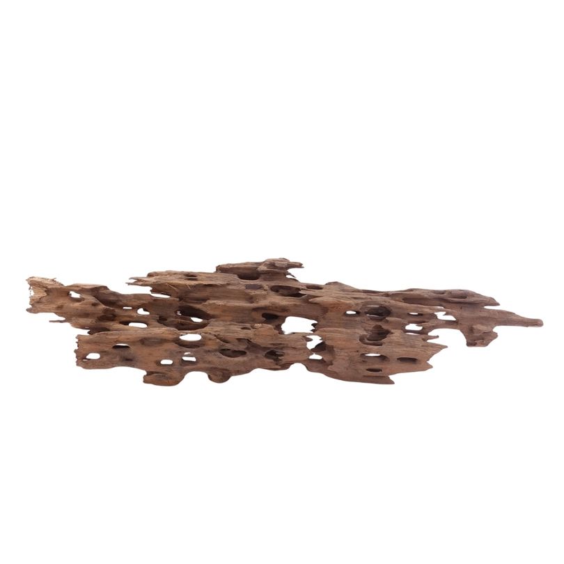 XL Honey Comb Wurzel Nr.5172 Holz Deko Aquascaping