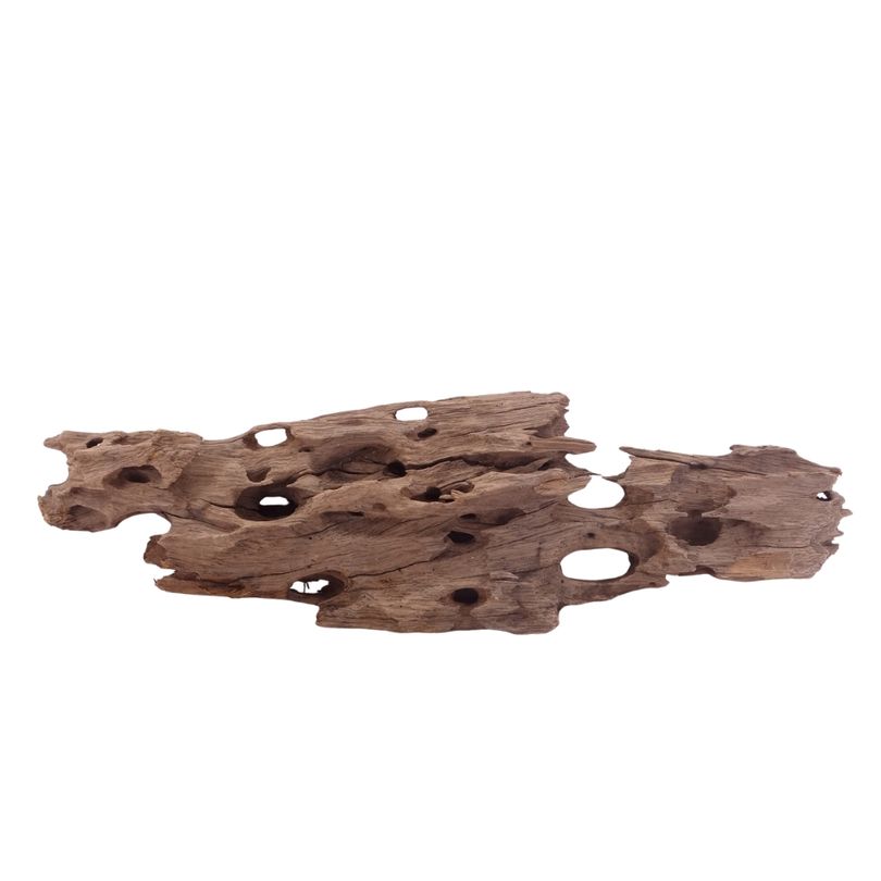 XL Honey Comb Wurzel Nr.5173 Holz Deko Aquascaping