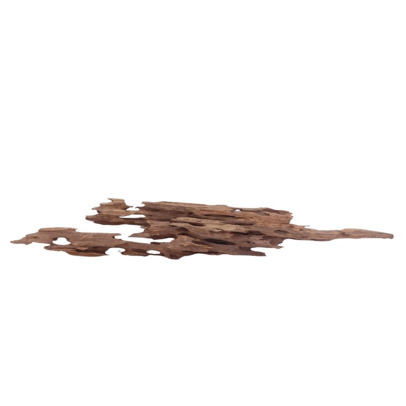 XL Honey Comb Wurzel Nr.5174 Holz Deko Aquascaping
