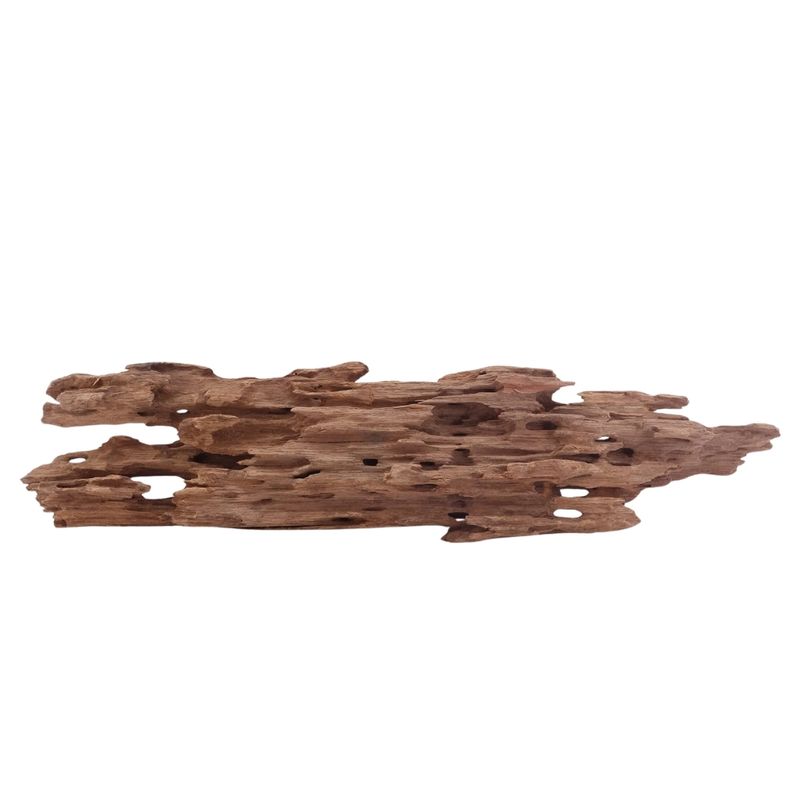 XL Honey Comb Wurzel Nr.5175 Holz Deko Aquascaping
