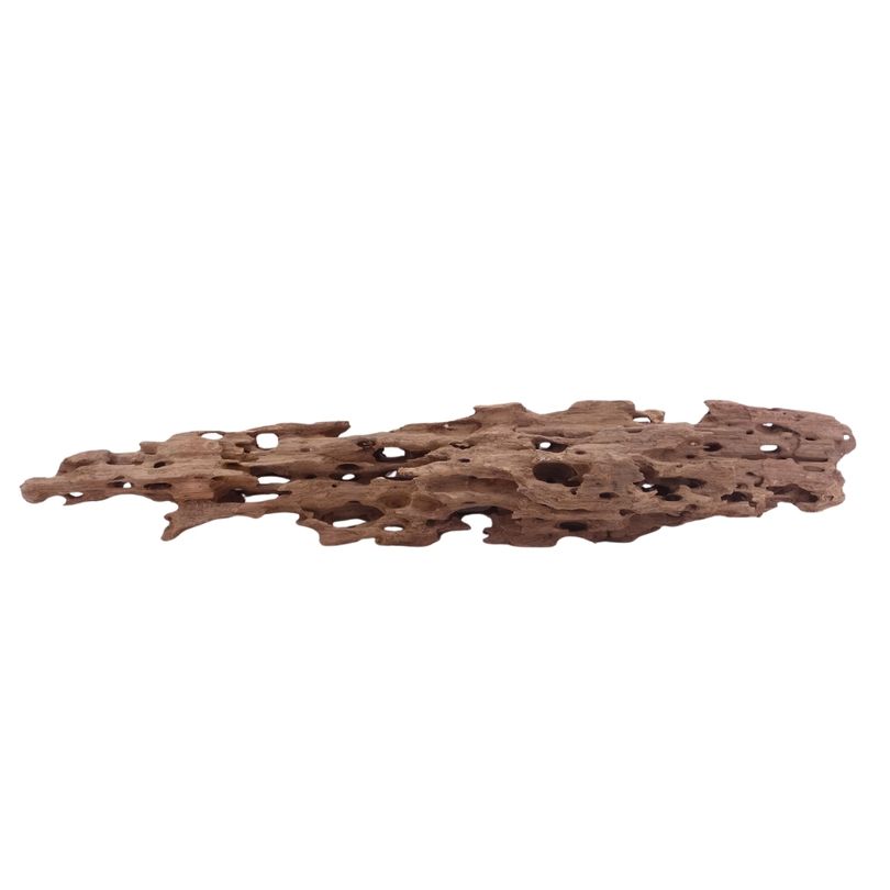 XL Honey Comb Wurzel Nr.5177 Holz Deko Aquascaping