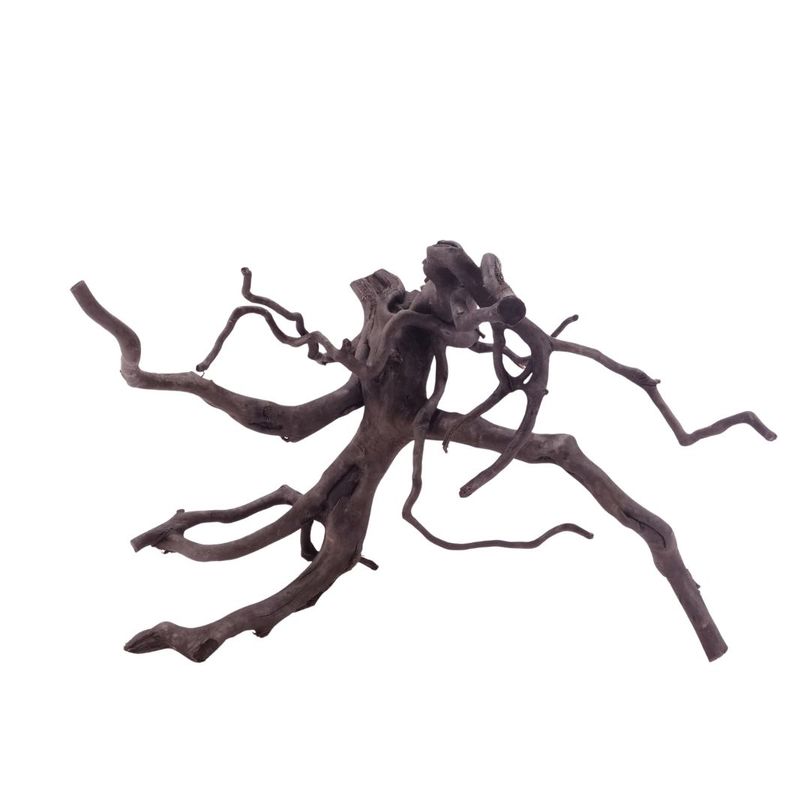 L Black Spider Wurzel  Nr.5221 Fingerwurzel Echtholz Deko Aquascaping 