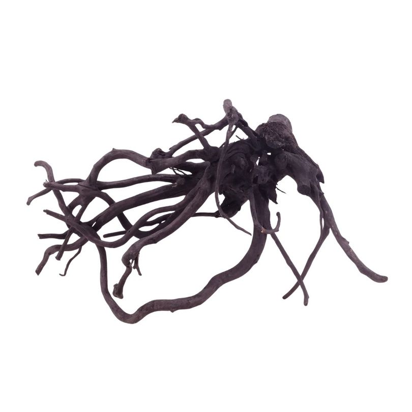 L Black Spider Wurzel  Nr.5223 Fingerwurzel Echtholz Deko Aquascaping 