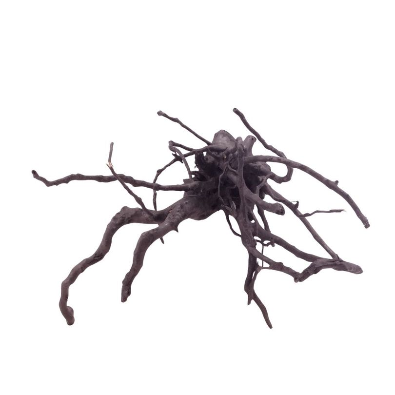 L Black Spider Wurzel Nr.5225 Fingerwurzel Echtholz Deko Aquascaping